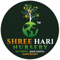 SHREE HARI Logo