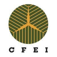 CFEI Logo